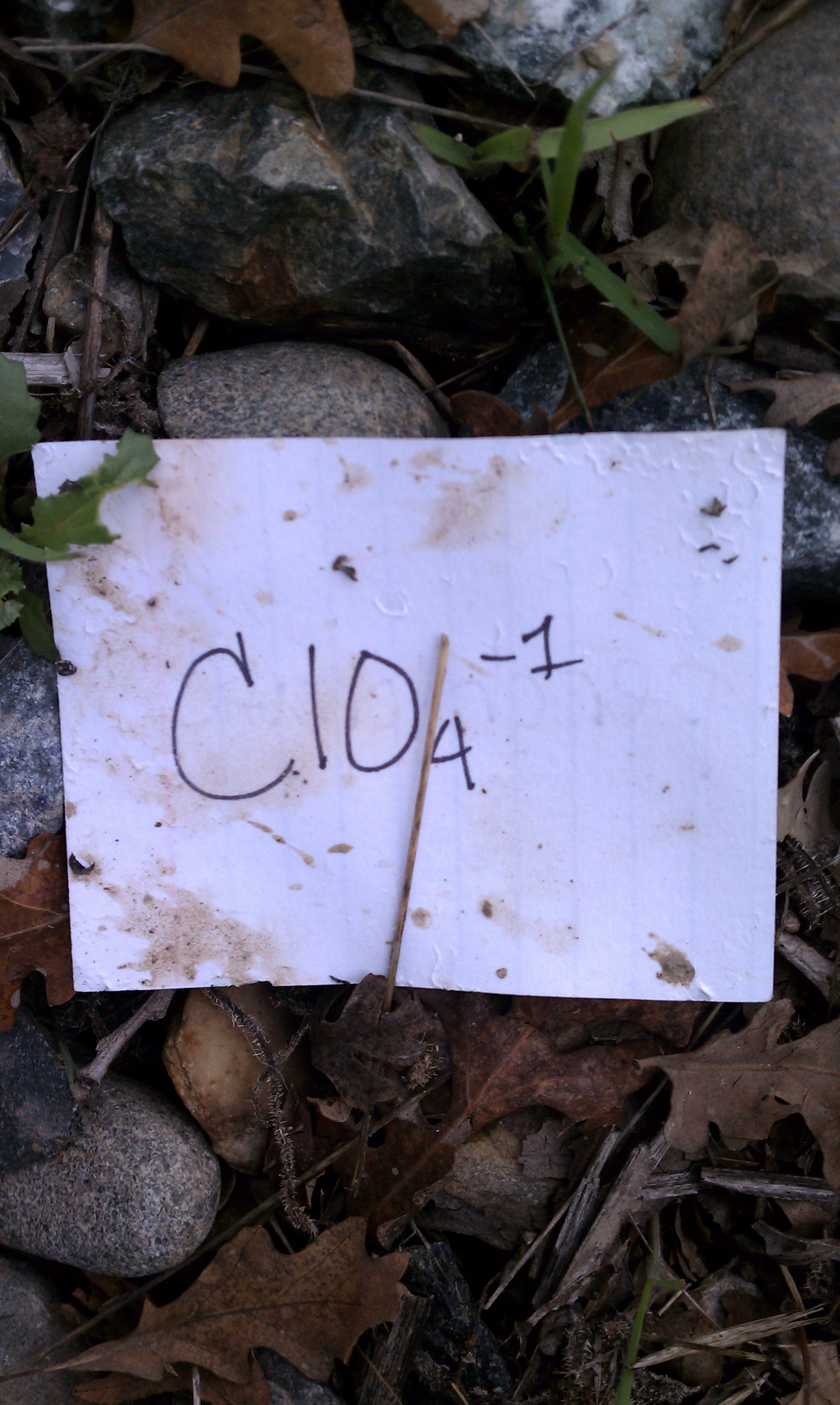 perchlorate in the woods