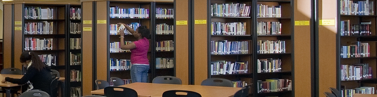 people in library