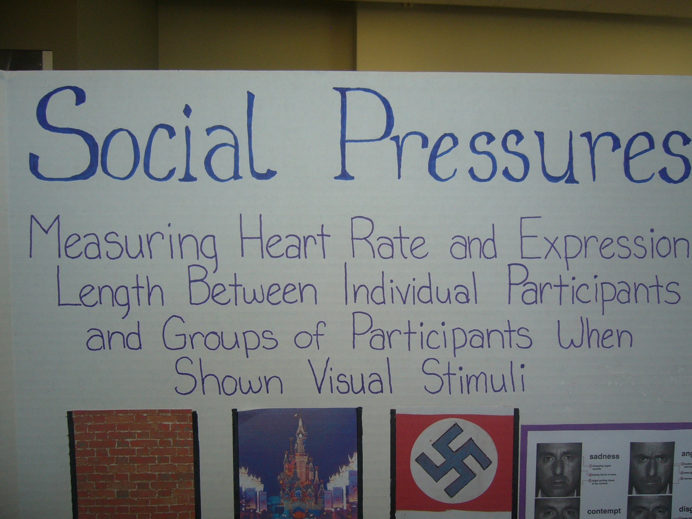 Social Pressures display poster