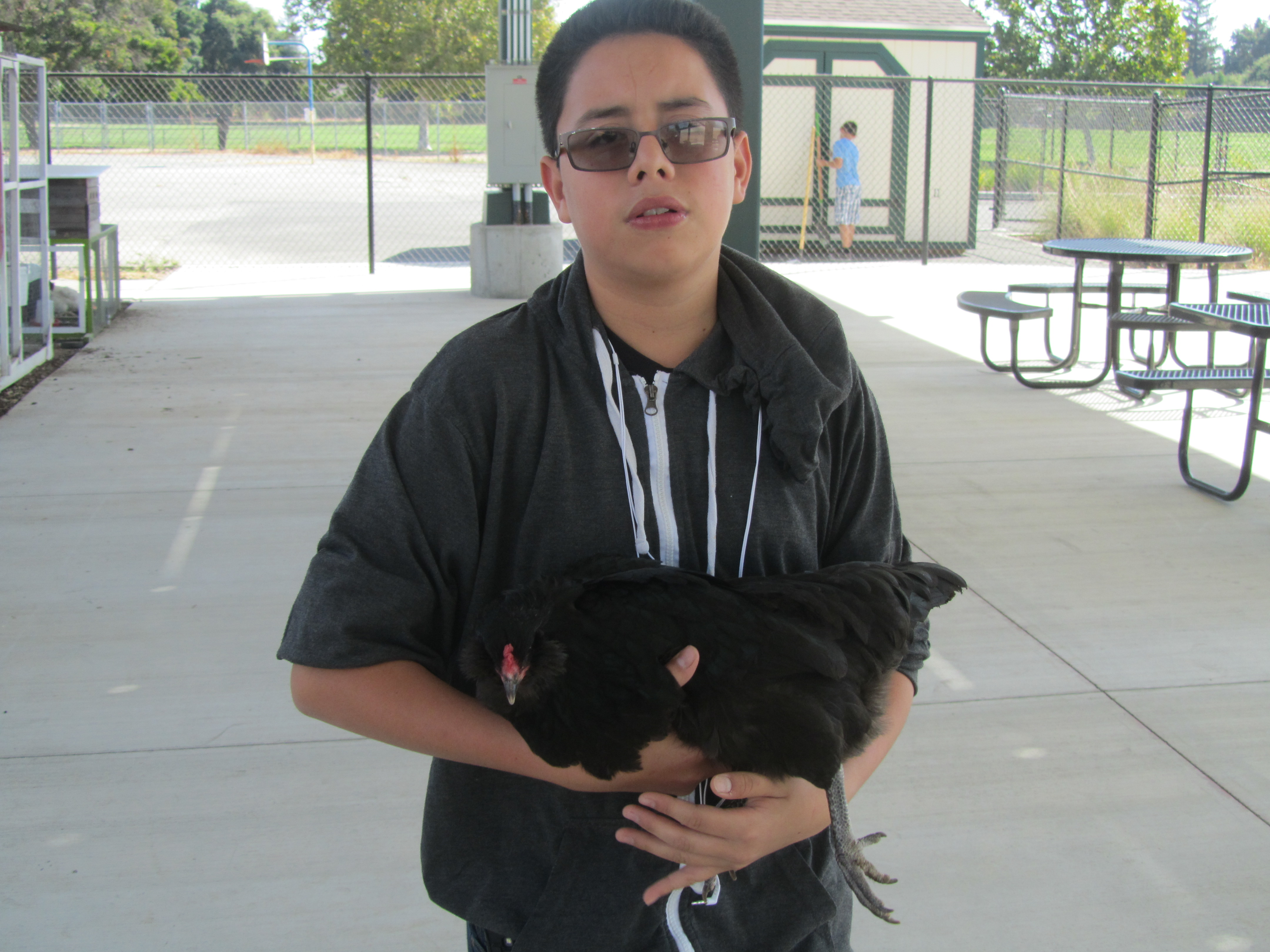 One of our FFA students and a Chickens