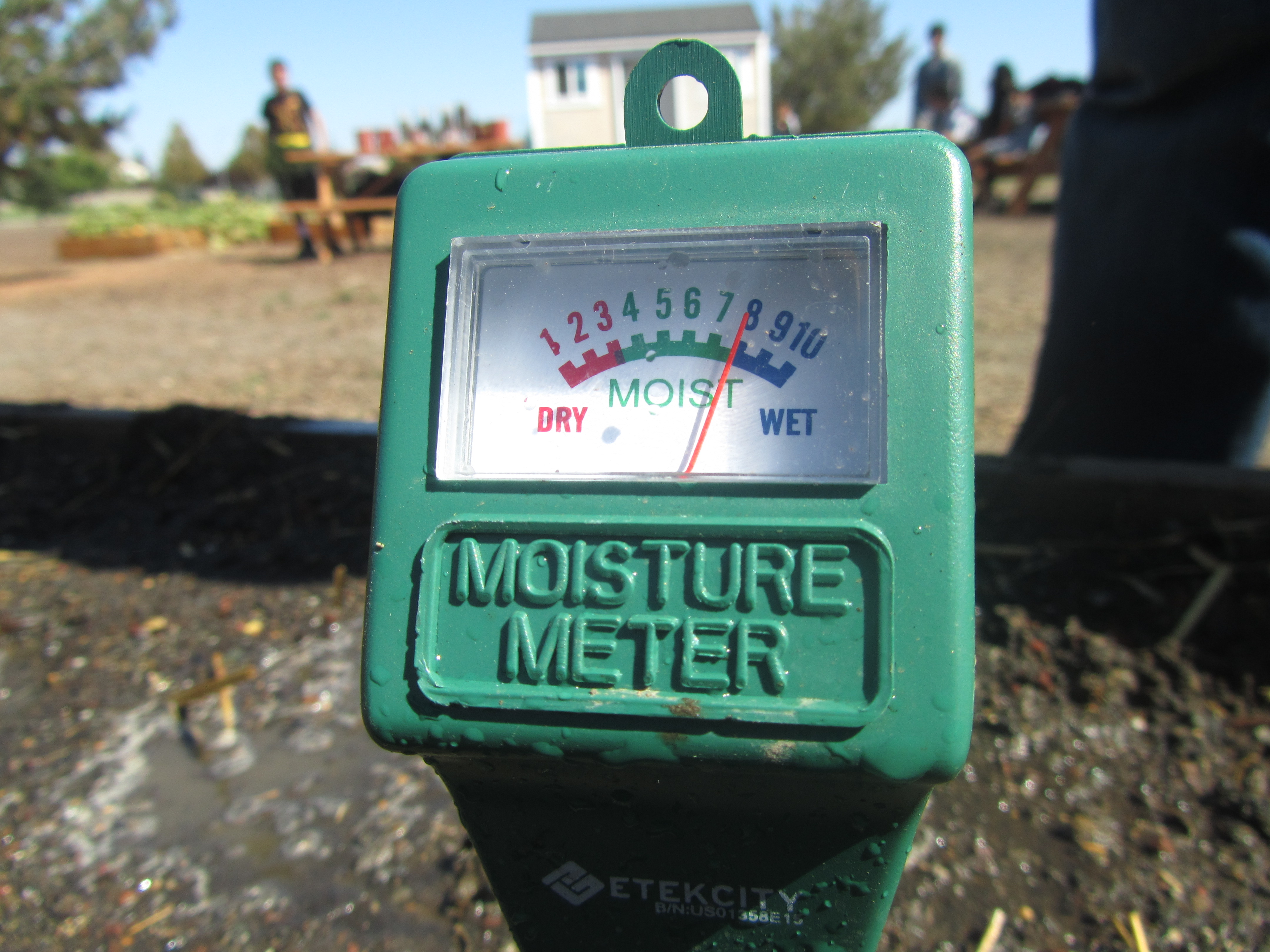 Moisture Meter